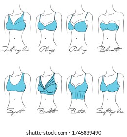 Illustration of the design and variety of women's bras. Hand-drawn lingerie models. Brasseries are classified into various styles based on criteria. 