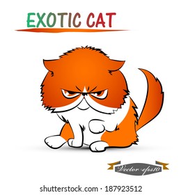 illustration design vector of exotic cat