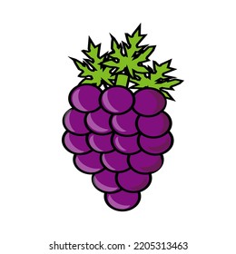 Illustration design vector of Purple Grape Fit for icon, logo, flash card, clip art, etc.