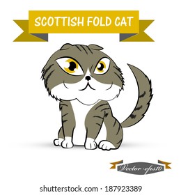 illustration design vector of scottish fold cat