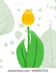 Illustration design of yellow tulips with long flower stalks.