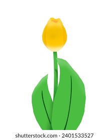 Illustration design of yellow tulips with long flower stalks.