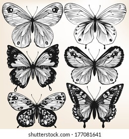 Illustration with  detailed hand drawn  vector butterflies