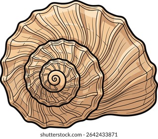 Illustration of a detailed seashell with a spiral pattern, perfect for design projects
