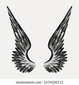 Illustration of detailed, symmetrical angel wings. Black and white wings with intricate feather patterns. Angel wings symbolizing freedom and spirituality. Vintage art drawing illustration vector.