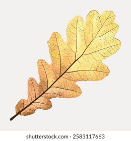 Illustration of a detailed, textured oak leaf in shades of yellow and brown, showcasing intricate veins and a natural, autumnal appearance. Vintage botanical vector illustration.