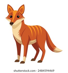 Illustration of Dhole animal on white