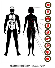 illustration of diagram of human anatomy