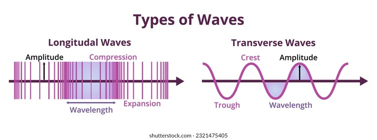 ilustración o diagrama de tipos de ondas. Olas longitudinales y transversales con descripción aislada en blanco. Un medio o partículas viajan perpendiculares o paralelos a la dirección de la onda.