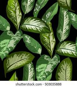 Illustration of Dieffenbachia leaf seamless pattern