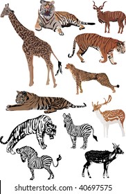 illustration with different animals collection isolated on white background