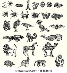 illustration with different animals collection isolated on white background