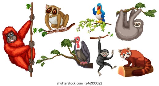 Illustration of different animals on branches