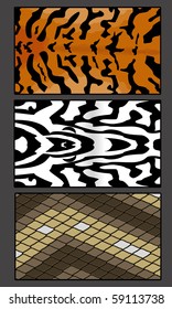 illustration of different animals skin texture Snake, Zebra, Tiger