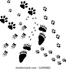 illustration with different animals tracks collection