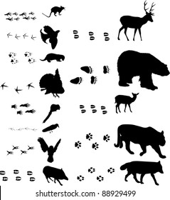 illustration with different animals and tracks collection