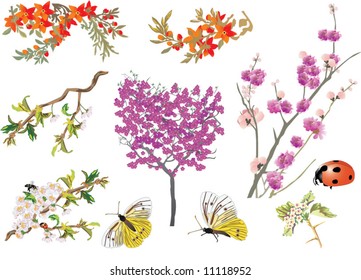 illustration with different branches with flowers