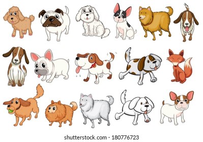 Illustration the different breeds