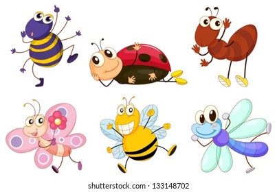 Illustration of the different bugs and insects on a white background