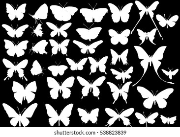 ilustración con diferentes mariposas aisladas en fondo negro