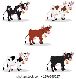 Illustration of different color cows on a white background. Cartoon Cow - Vector illustration of a cows set. Five cows in different colors