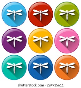Illustration of different color dragonfly icons