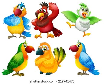 Illustration of different color of parrots