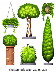 Illustration of the different decorative plants on a white background 