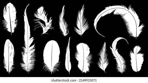 Ilustración de diferentes plumas sobre el fondo negro
