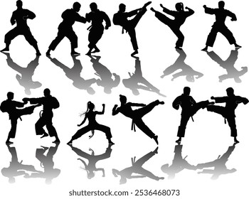 illustration with different fighter silhouettes isolated on white background