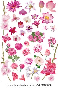 illustration with different flower collection isolated on white background