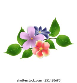 illustration with different flowers bouquet isolated on white background