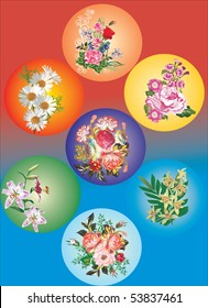 illustration with different flowers collection