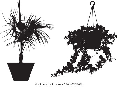 Illustration of different flowers in pots isolated on white	
