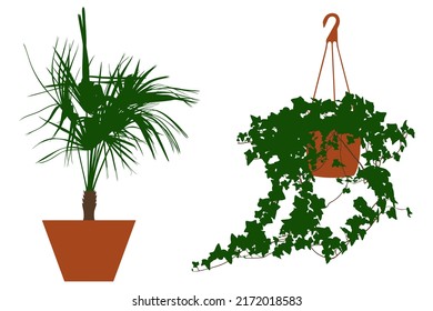 Illustration of different flowers in pots isolated on white