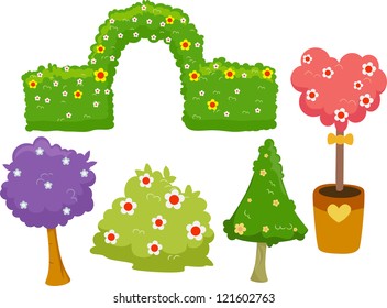 Illustration of Different Garden Hedges, Trees and Bushes