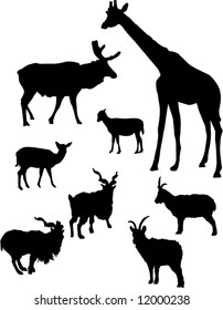 illustration with different horned animals