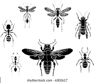 illustration with different insect silhouettes isolated on white background