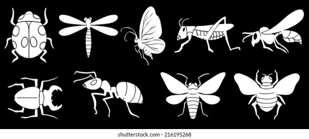 Illustration of the different insects on a black background