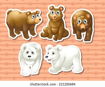 Illustration of different kind of bears