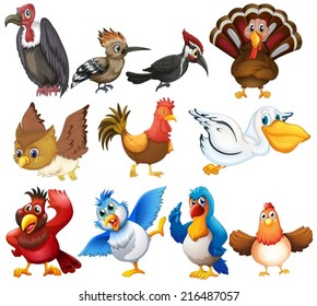 Illustration of different kind of birds