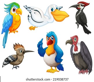 Ilustración de diferentes tipos de aves