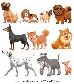 Illustration of different kind of dogs