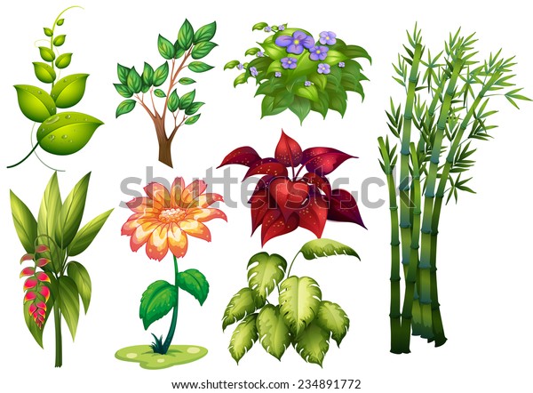 植物や花の種類のイラスト のベクター画像素材 ロイヤリティフリー