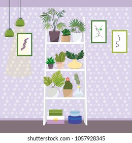 Illustration of different kind of plants on shelves. Flat style vector illustration.