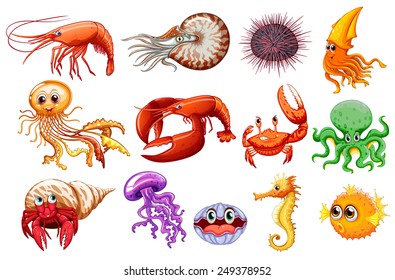 Illustration of different kind of sea animals