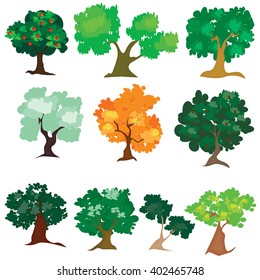 Illustration of different kind of tree