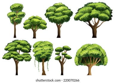 Illustration of different kind of trees