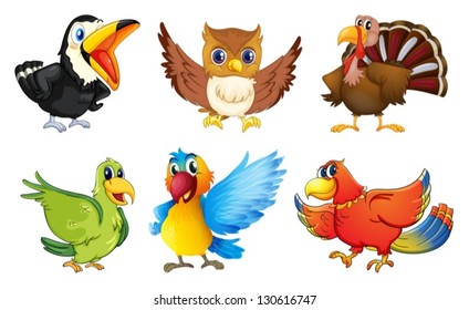 Illustration of the different kinds of birds on a white background