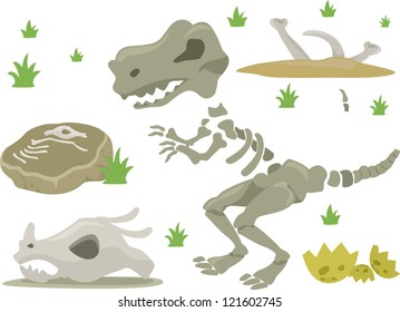 Illustration of Different Kinds of Dinosaur Bones with Grasses